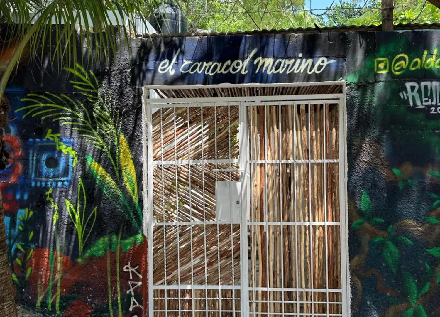 Apartment Jungle&Beach Studios Playa del Carmen Mexico